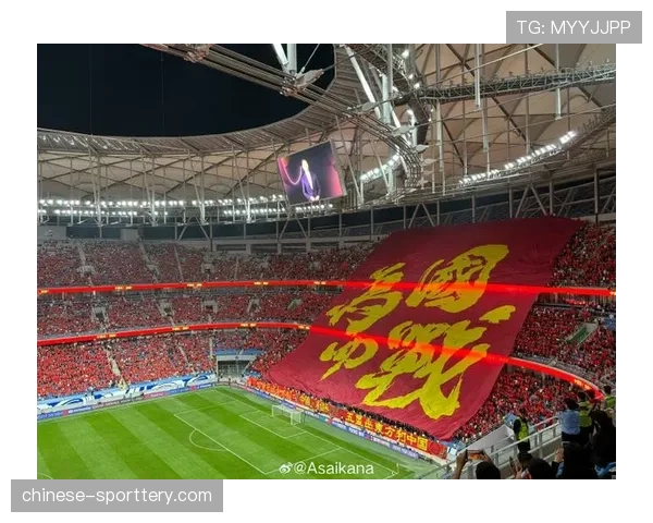 海登海姆主场球迷展示巨幅TIFO，纪念俱乐部升入德甲三周年